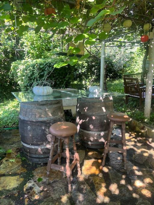 فيلا Casa A Boga Ribeira Sacra Abeleda المظهر الخارجي الصورة
