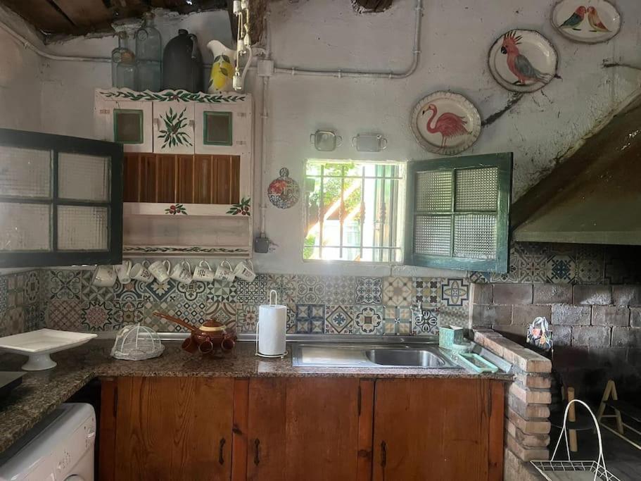 فيلا Casa A Boga Ribeira Sacra Abeleda المظهر الخارجي الصورة