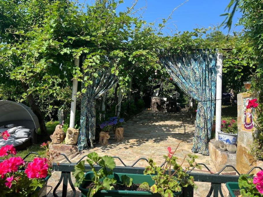 فيلا Casa A Boga Ribeira Sacra Abeleda المظهر الخارجي الصورة